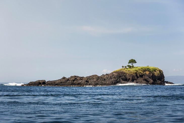 Breaking Free From Corporate Life to the Open Sea