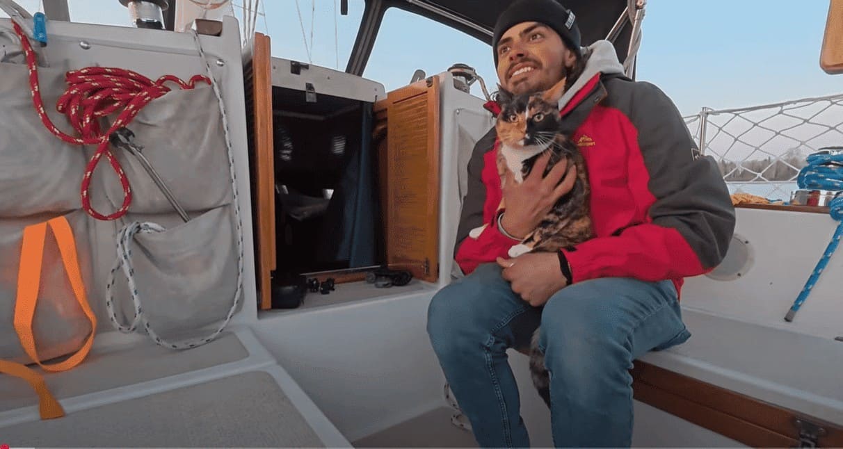 Sailing with Phoenix: The Viral Cat-and-Sailor Adventure Captivating the Internet